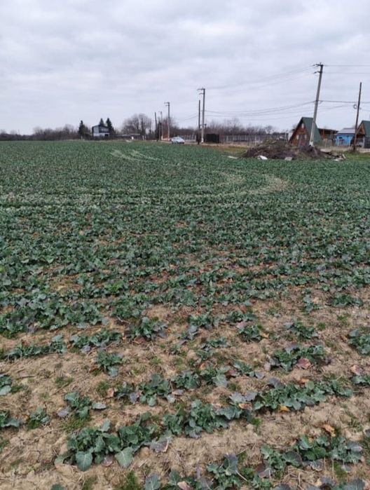 Super Oferta De Sărbători Doar 25 € Negociabil