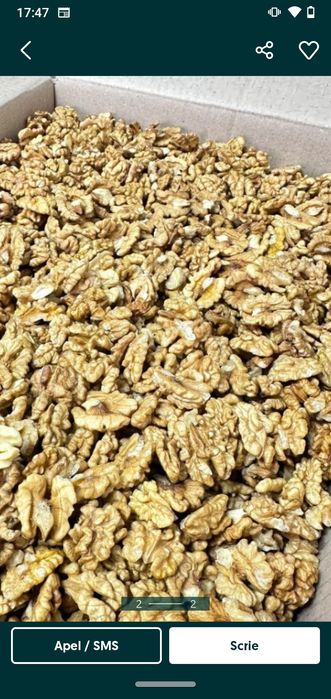 Miez de nuca productie 2024