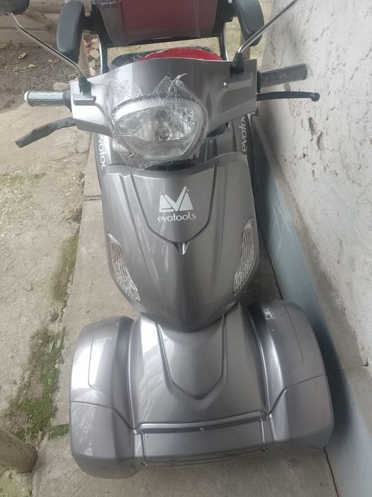 Scuter gri Evotolis