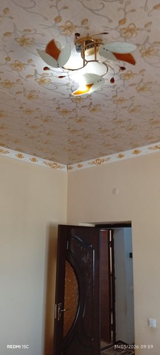 Шарк малочка калсо