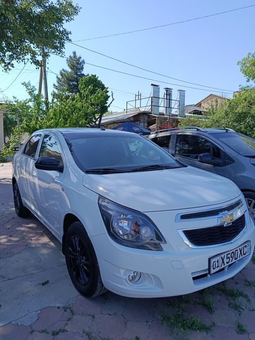 Cobalt 2025 yil mitnayt