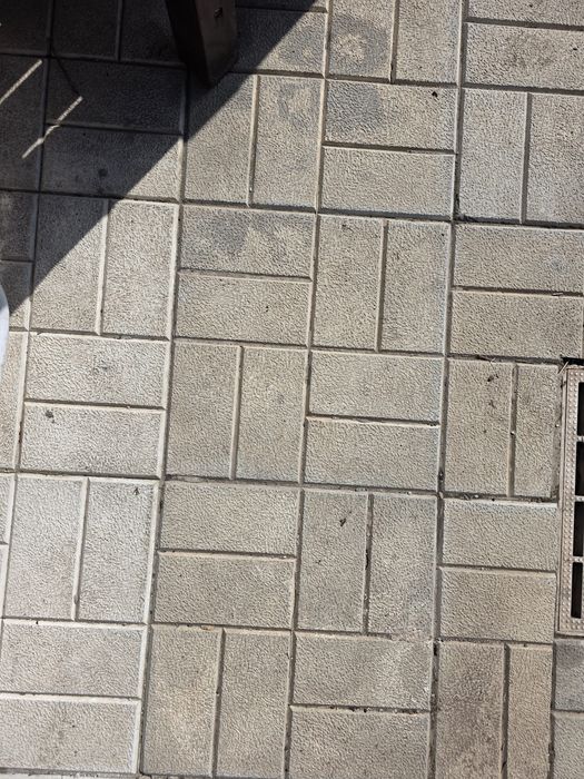 Pavaje pavele montaj profesional