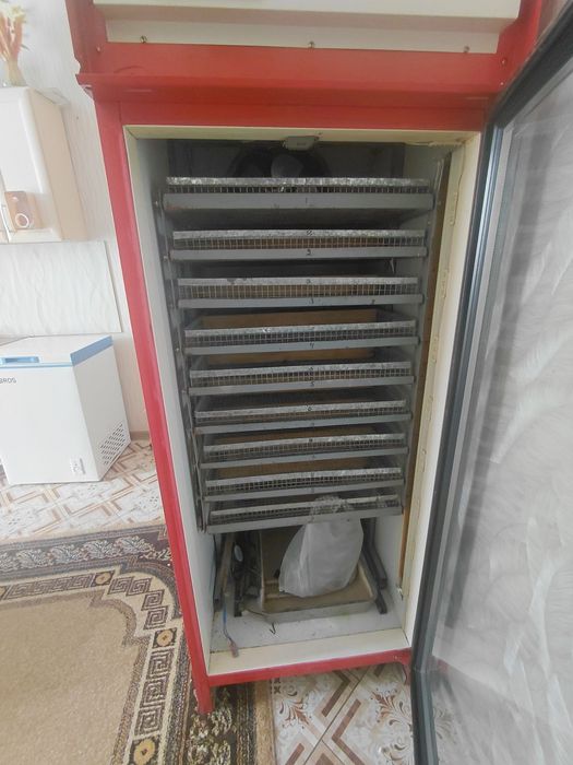 Инкубатор для яйц