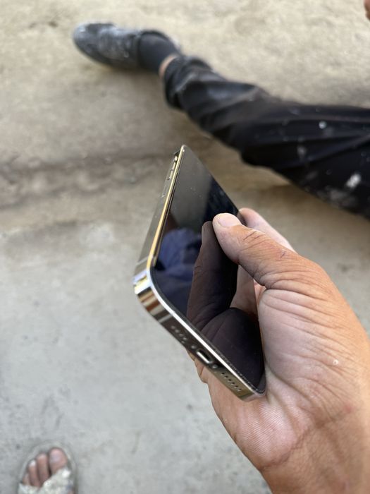 Iphone 13 pro max 256