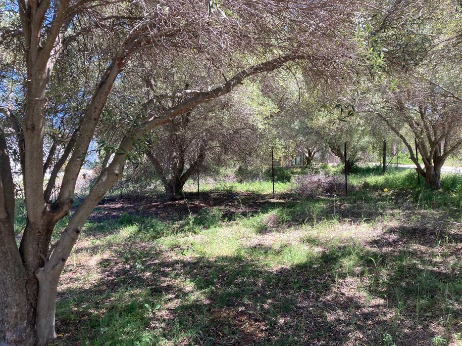 Дава се под наем Парцел в София, Зона Б-19 - 560 кв.м за 1500 € - Снимка #8