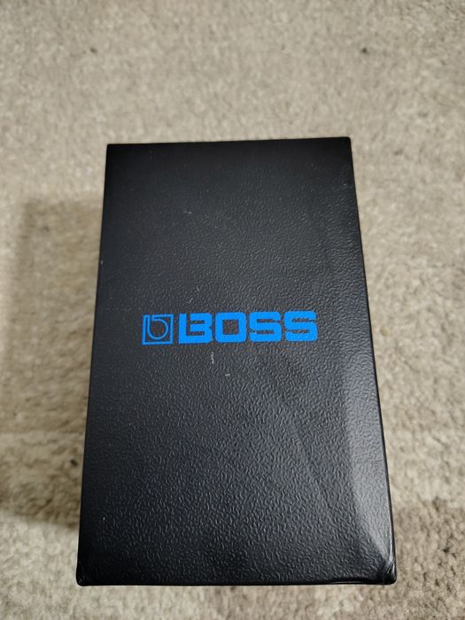 Boss rc1 loop station