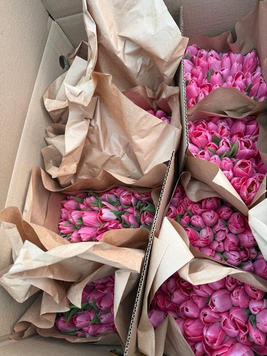 Акция на тюльпаны