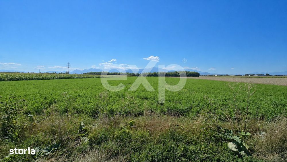 Teren intravilan 17.204 mp Stupini – zona mixta ZM, POT 40%, CUT 1,5