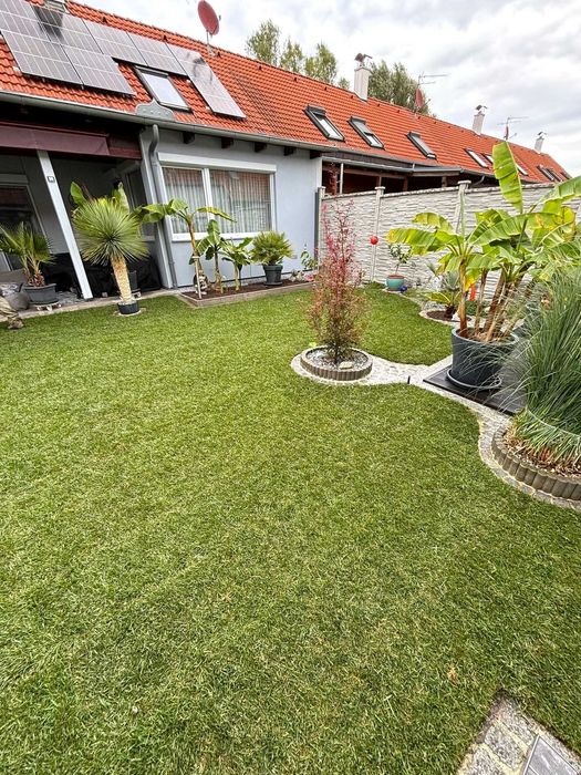 Amenajare curte, spatii verzi , pavele, gazon rulou, sisteme irigare