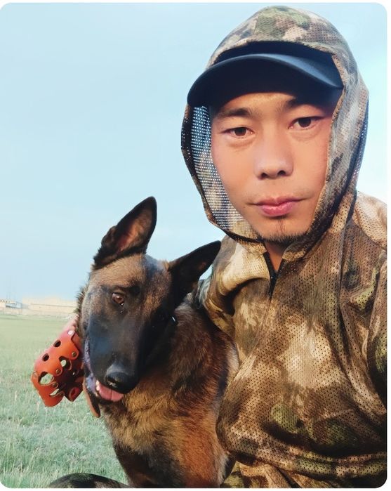 Бельгийский овчарка