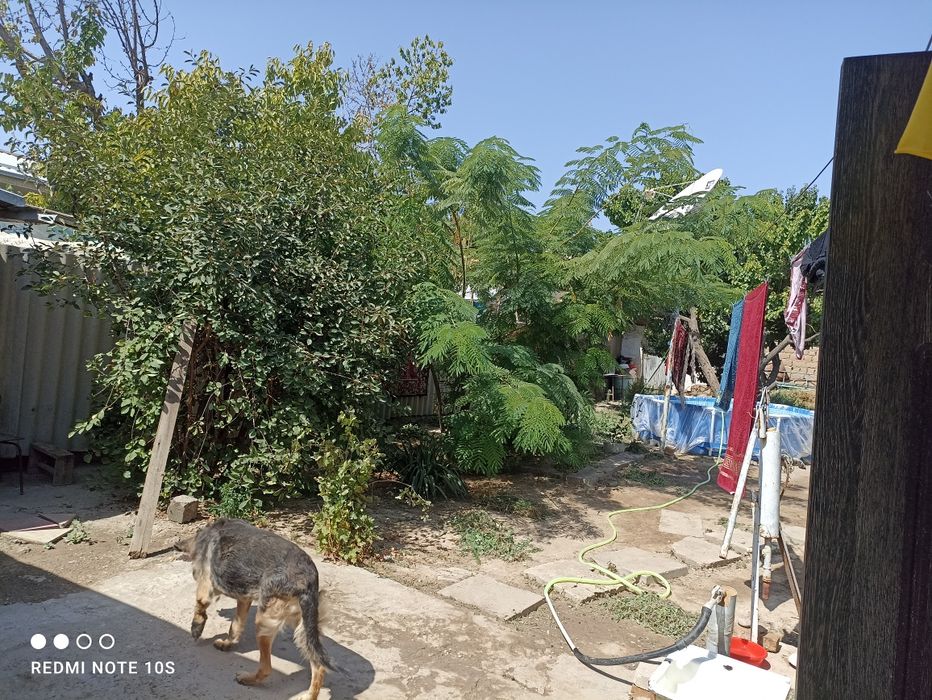 Продается дом с участком