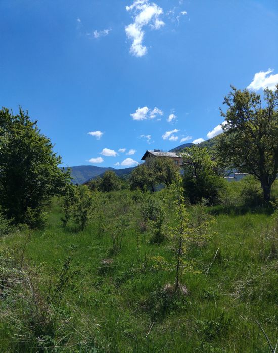 Продава се Парцел в Сапарева баня - 960 кв.м за 40 €/кв.м - Снимка #2