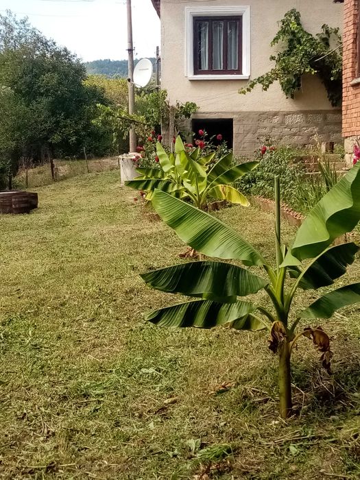 Продава се Къща в Костинброд - 180 кв.м за 221 €/кв.м - Снимка #12