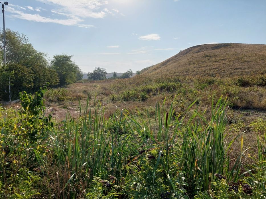 Teren 10.000m2 extravilan+ intravilan