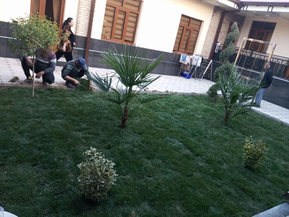 Gazon ekish landshaft dizayni