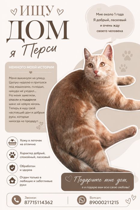 Перси в поиске дома :з