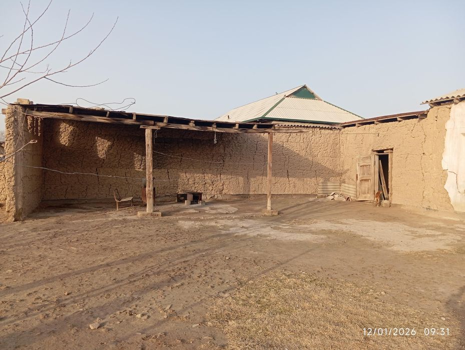 Xovli sotiladi 16 sotuxli Paxtaobod