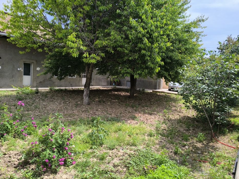 Зудлик Билан Кибрай марказида 6 сотихлик участка сотилади