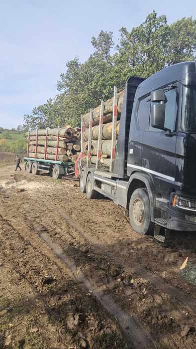 Lemn foc cantitati mari