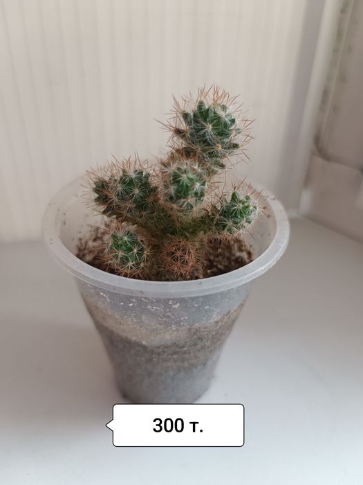 Продаю обои ширина 1.06