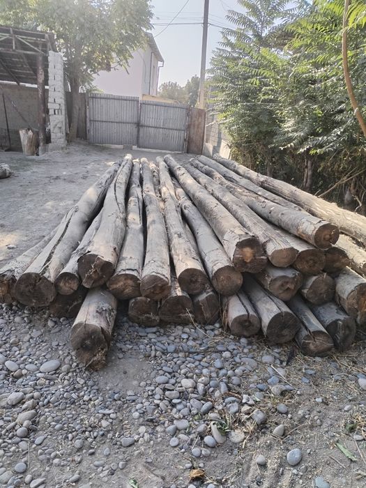 Bolor, shopil, rekalik. Yoğochlar bir6 metrlikquruq mirza terak