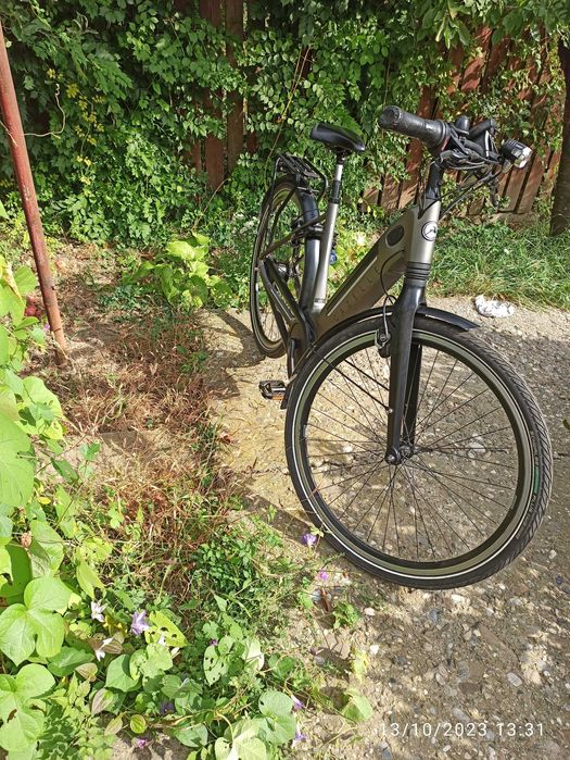 Dezmenbrez sau schimb bicicleta electrica