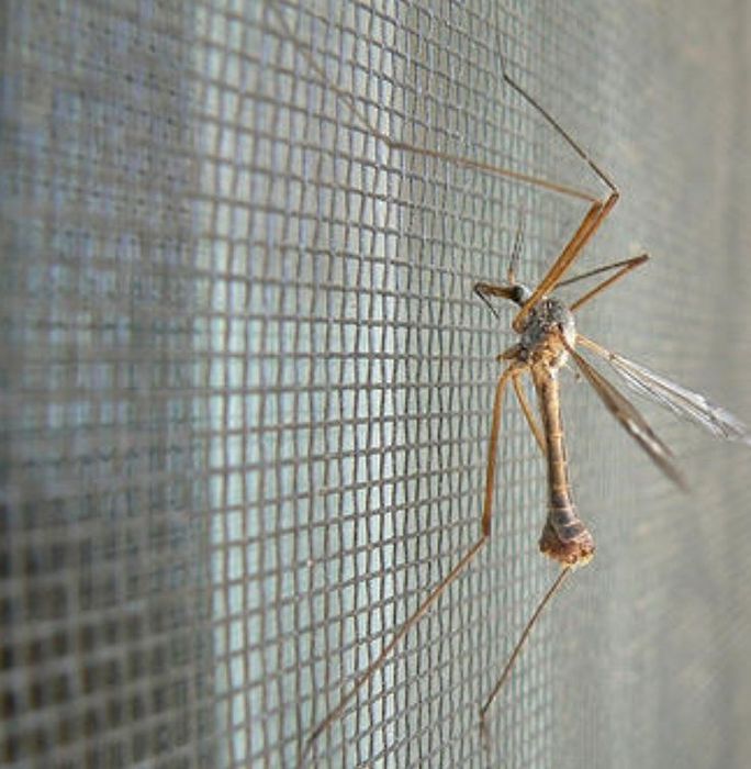 Москитные сетки жалюзи паша сетка 24/7