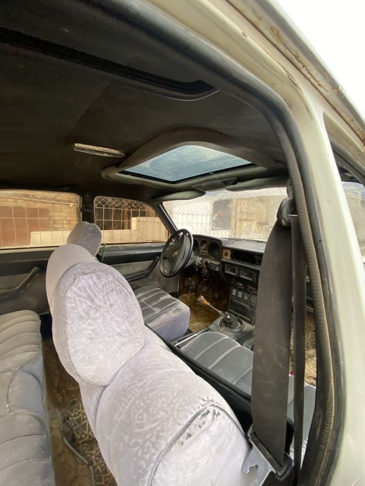 Тараз асада тур