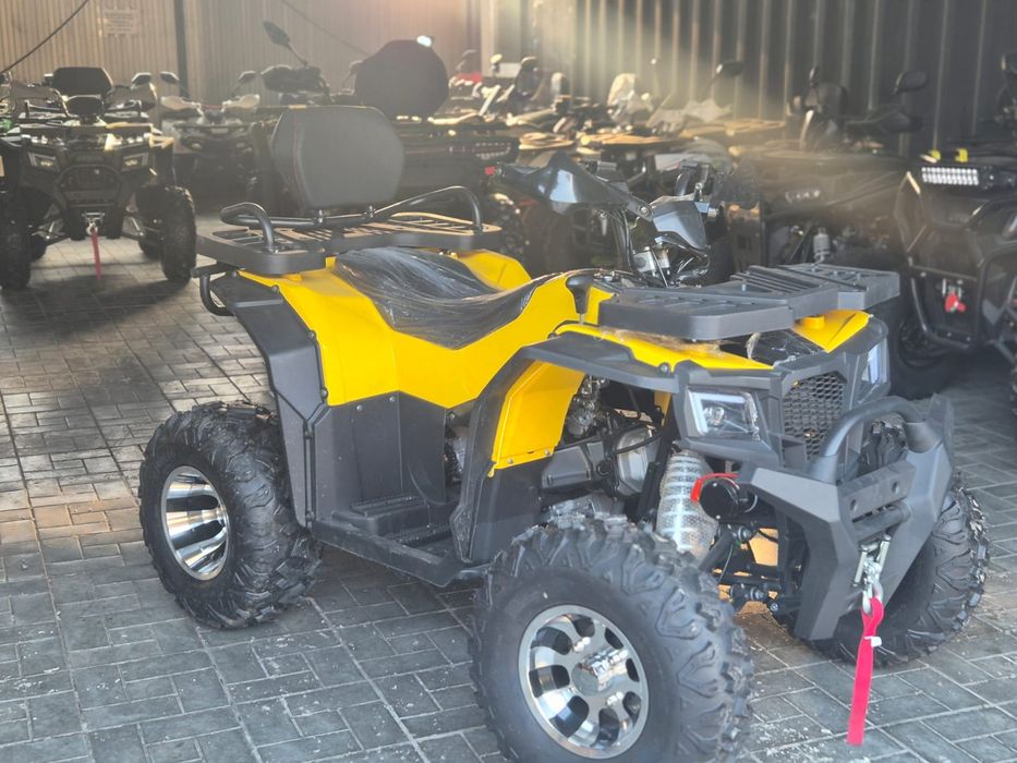 Квадроцикл викинг 250 про