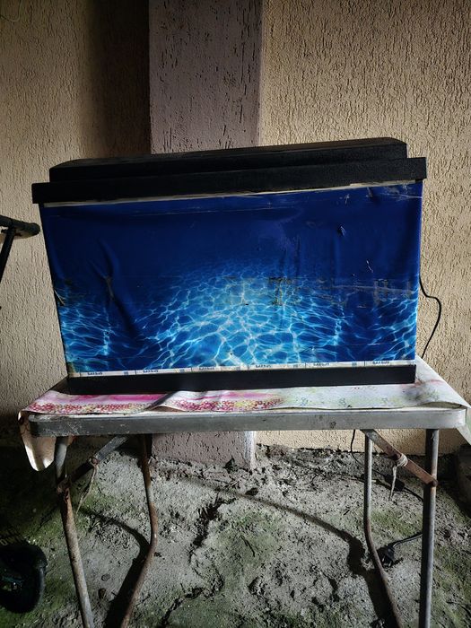 Vand acvariu pești