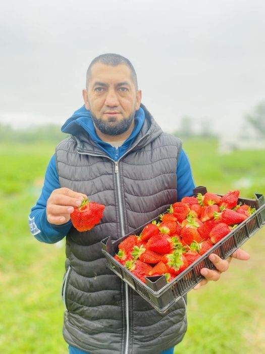 Ягоди и Малини Продавам