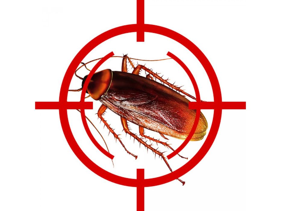 Гель от тараканов Dupont Advion Cockroach Gel