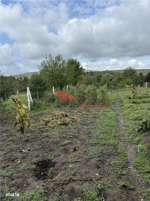 Casa la cheie, Dipsa, Jud.B-N
