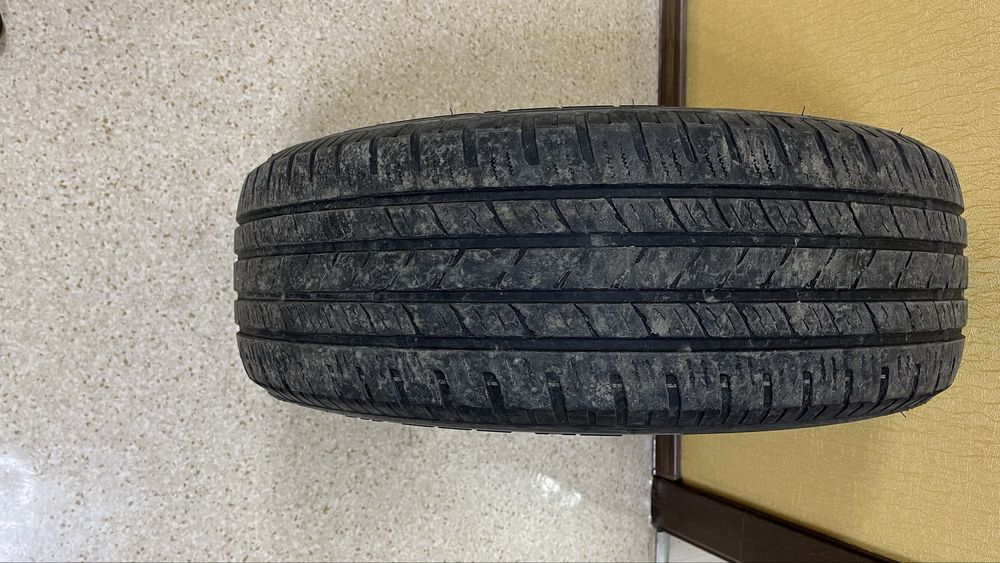 Летние шины Ekovision