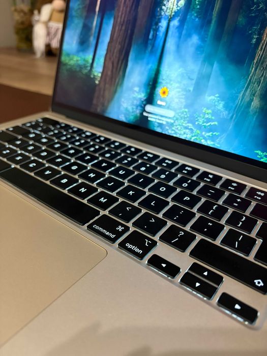 Apple MacBook Air M4, 13", 16GB RAM, 256GB SSD, Garanție, 25 Cicluri
