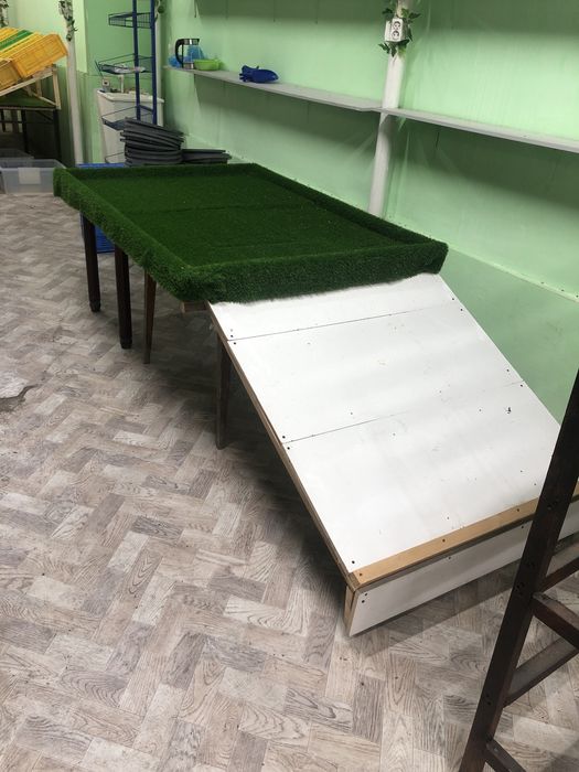 Стол ветрина для фруктов