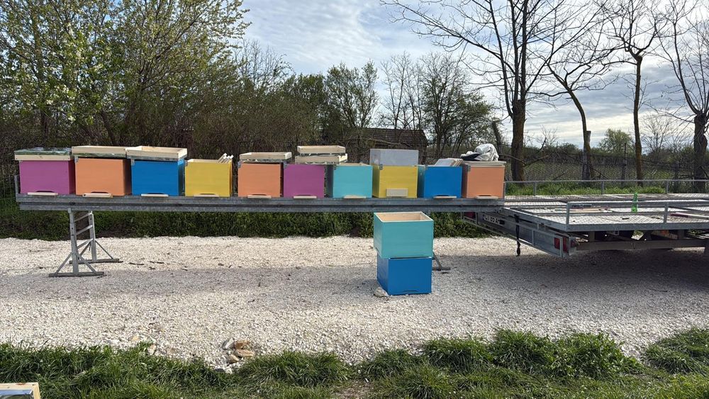 Platforma apicola pentru 40 de stupi