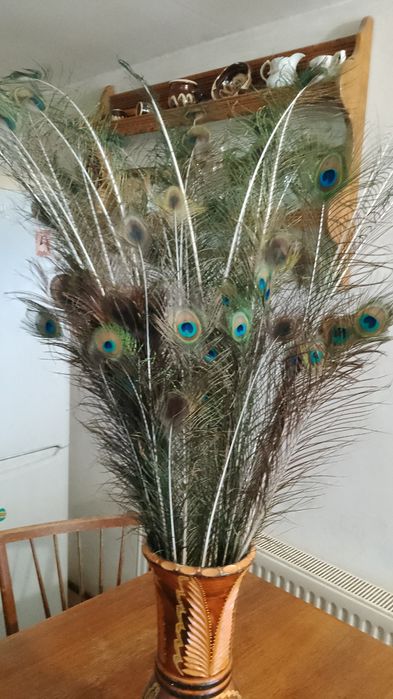 Decorațiuni cu pene de păun