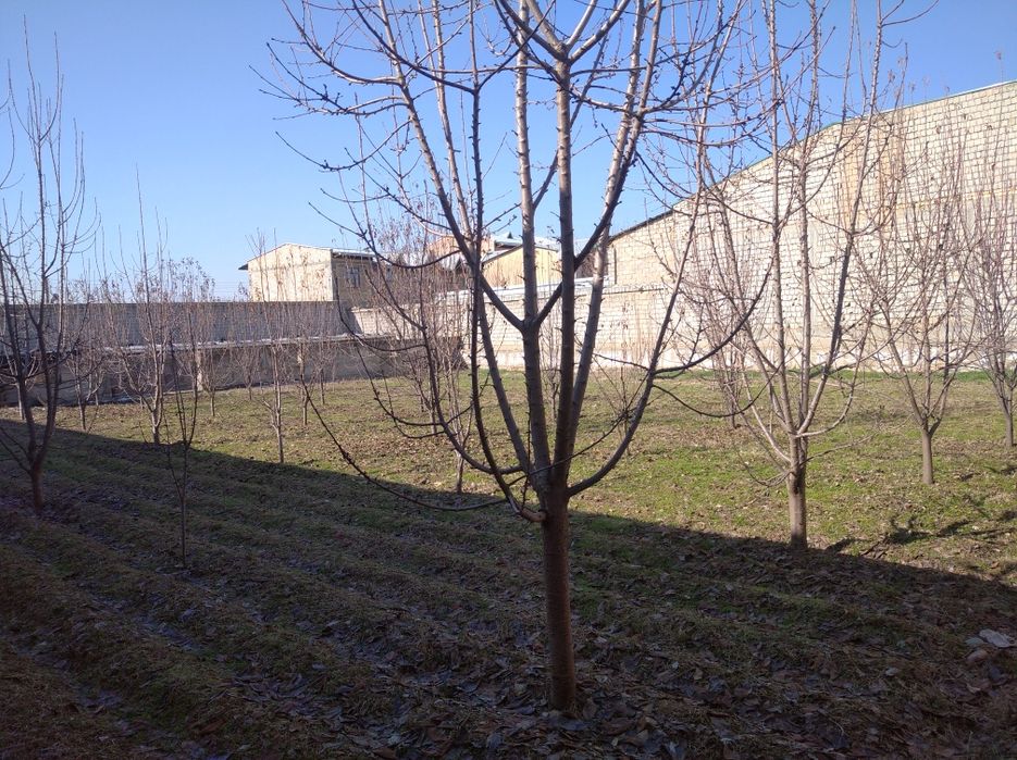 Ijaraga yer beriladi