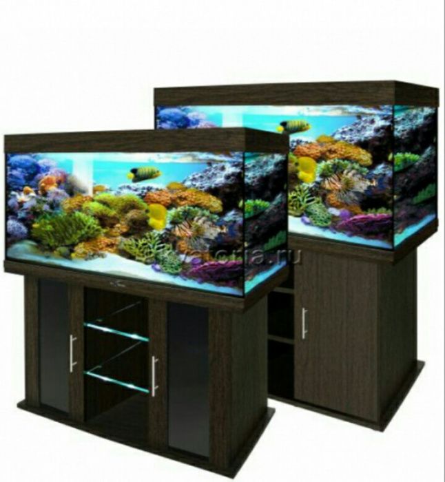 Изготовление и ремонт аквариума продажа рыб обслуживание и другие усл