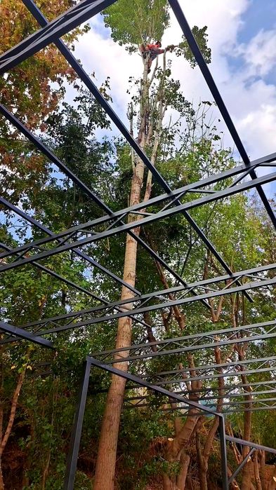 Дарахт кесиш хизмати daraxt kesish бензопила услуг обрезка спил деревя