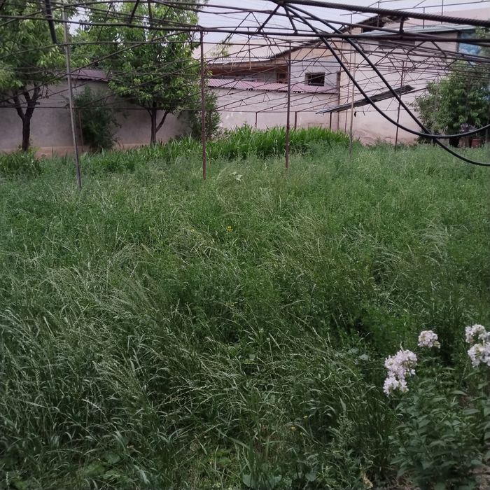 Yer sotiladi 3 sotix