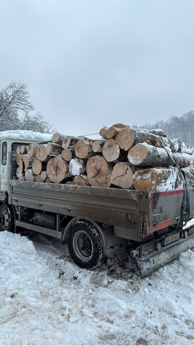 Lemne de foc esenta tare