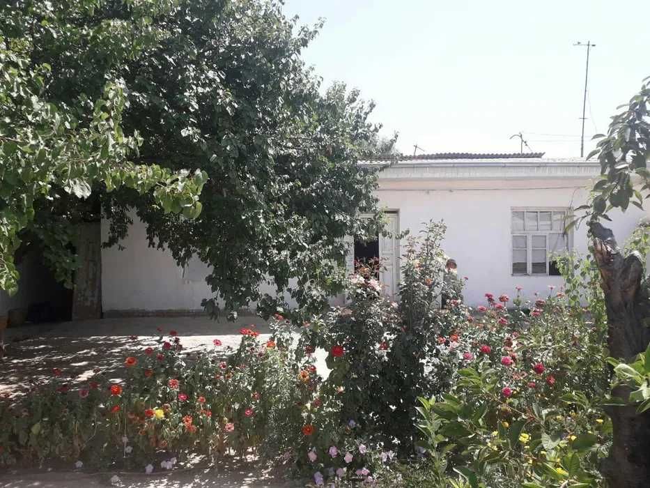 Ховли уй сотилади.