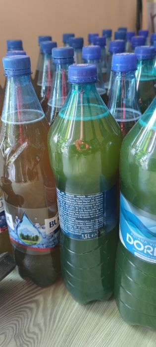 Vând miere de albine