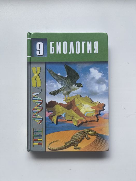 Суреттегі қыздар порно