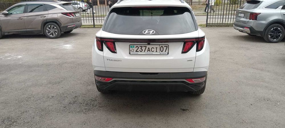 обмен на коров телок