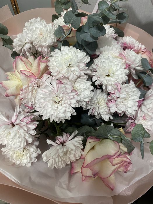 Продам цветы по приятной цене