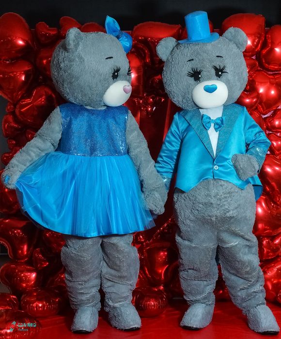 Мишки тедди аниматор. Прокат