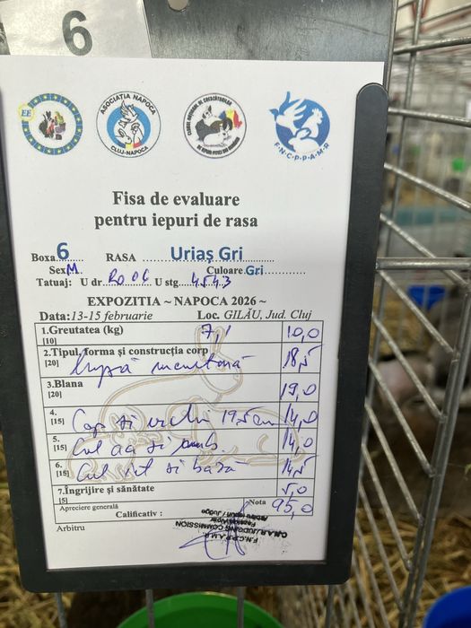 Vind 2 masculi urias german din luna aprilie